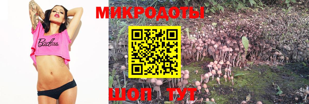 Галлюциногенные грибы Cubensis  Галлюциногенные грибы Psilocybe  Вход с VPN  Кизилюрт 