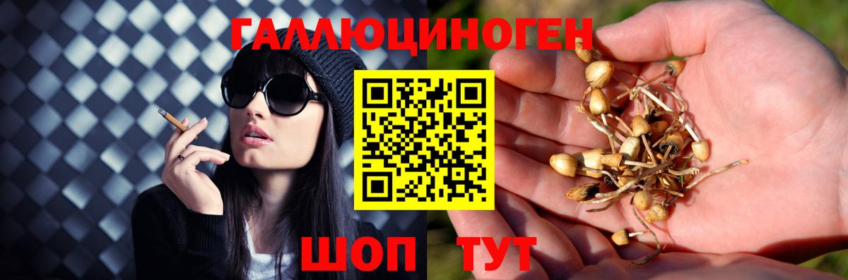 Галлюциногенные грибы мухоморы Кизилюрт